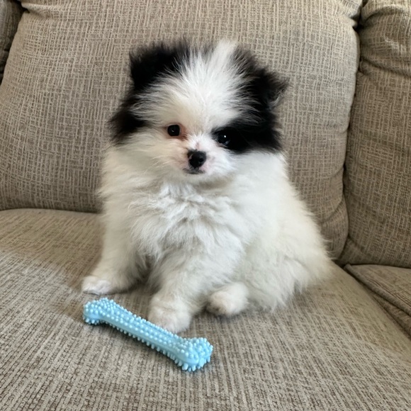 ❤️LOVES OFFERS ❤️! - Picture 4 of 16